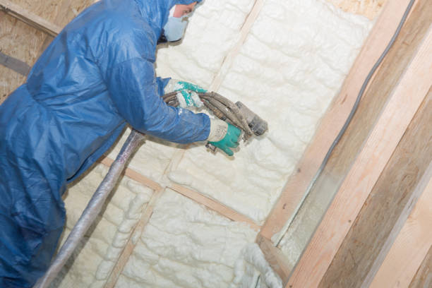 Best Insulation Air Sealing  in USA